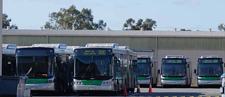 Transperth Volvo Volgren B8RLEA Optimus 3085  & Volvo B12BLEA CR225L 3021